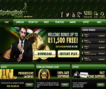 Springbok Casino accepts deposits in Rands directly from SA Local Bank Accounts and ewallets